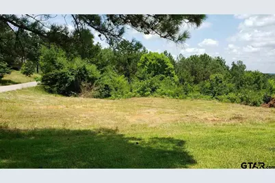 0 Skyline Dr., Brownsboro, TX 75756 - Photo 6