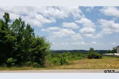 0 Skyline Dr., Brownsboro, TX 75756 - Photo 2