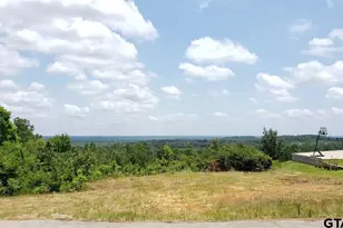 0 Skyline Dr, Brownsboro, TX 75756 - Photo 1