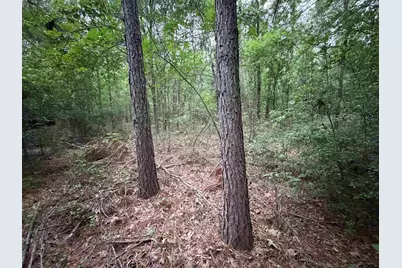 000B County Road 1204, Rusk, TX 75785 - Photo 4
