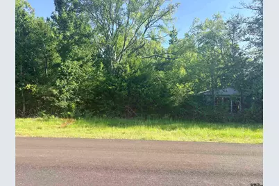 4185 Fm 855 W, Bullard, TX 75757 - Photo 4