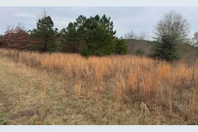 1335 San Saba, Bullard, TX 75757 - Photo 4