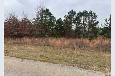 1335 San Saba, Bullard, TX 75757 - Photo 14