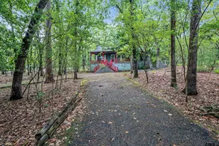 224 Blue Bird Ln, Holly Lake Ranch, TX 75765 - Photo 1