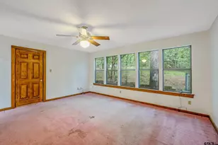 224 Blue Bird Ln, Holly Lake Ranch, TX 75765 - Photo 16