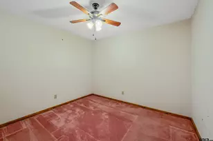 224 Blue Bird Ln, Holly Lake Ranch, TX 75765 - Photo 10