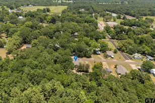 311 Johnson Rd, Winona, TX 75792 - Photo 30