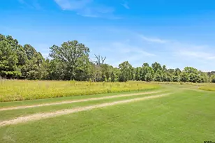 8480 Co Rd 3408, Chandler, TX 75758 - Photo 24