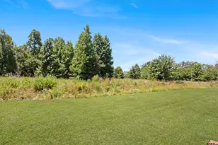 8480 Co Rd 3408, Chandler, TX 75758 - Photo 28