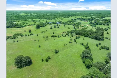 3300 Vzcr 1903, Edgewood, TX 75117 - Photo 10