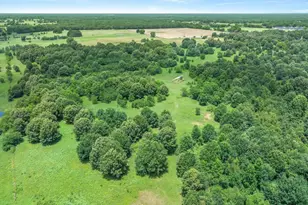 3300 Vz Cr 1903, Edgewood, TX 75117 - Photo 14
