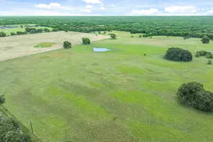 3300 Vz Cr 1903, Edgewood, TX 75117 - Photo 22