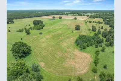 3300 Vz Cr 1903, Edgewood, TX 75117 - Photo 20