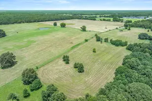 3300 Vz Cr 1903, Edgewood, TX 75117 - Photo 4