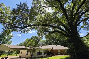 4221 Pinewood Trail, LaRue, TX 75770 - Photo 6
