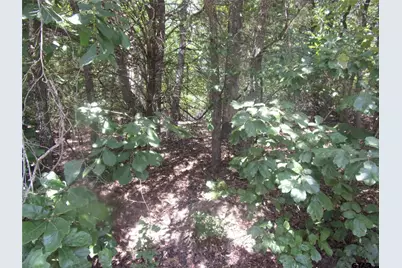0000 Wildwood, Murchison, TX 75778 - Photo 2