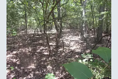 0000 Wildwood, Murchison, TX 75778 - Photo 6