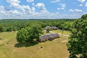 10198 Cr 2167 (Jim Russell Rd), Whitehouse, TX 75791 - Photo 2