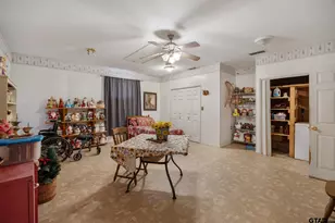 10198 Cr 2167 (Jim Russell Rd), Whitehouse, TX 75791 - Photo 14