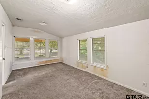 211 S Olive, Grapeland, TX 75844 - Photo 22