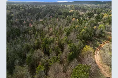 11554 Fm 1649, Ore City, TX 75683 - Photo 22