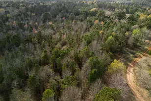 11554 Fm 1649, Ore City, TX 75683 - Photo 22