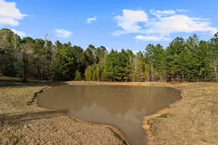 11554 Fm 1649, Ore City, TX 75683 - Photo 16