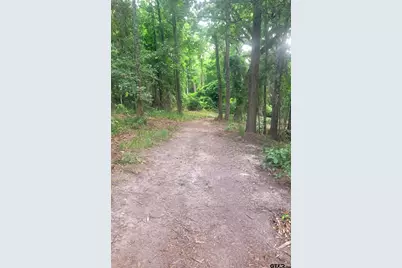 1363 Cr 4530, Winnsboro, TX 75494 - Photo 40
