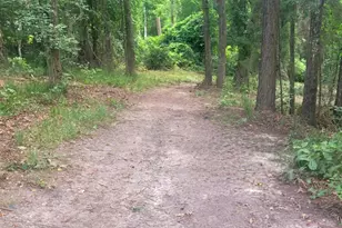 1363 Co Rd 4530, Winnsboro, TX 75494 - Photo 40