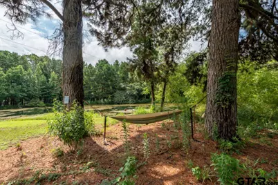 18059 County Road 2142, Troup, TX 75789 - Photo 14