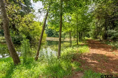 18059 County Road 2142, Troup, TX 75789 - Photo 14