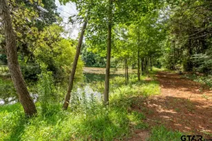 18059 County Rd 2142, Troup, TX 75789 - Photo 14