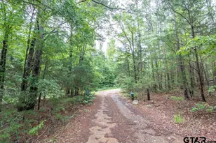 18059 County Rd 2142, Troup, TX 75789 - Photo 4