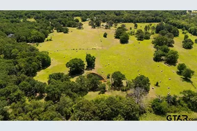 Tbd Fm 773, Murchison, TX 75778 - Photo 22