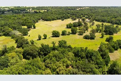 Tbd Fm 773, Murchison, TX 75778 - Photo 20
