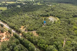 1522 FM 17, Grand Saline, TX 75140 - Photo 1