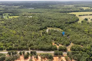 1522 FM 17, Grand Saline, TX 75140 - Photo 46