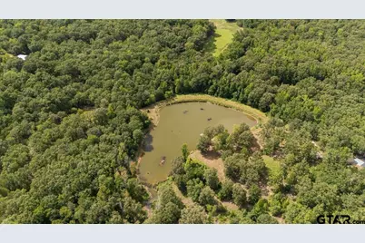 1522 Fm 17, Grand Saline, TX 75140 - Photo 2