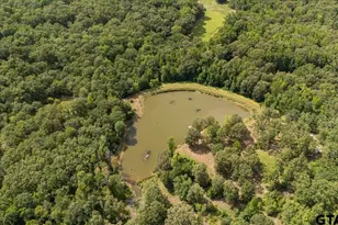 1522 FM 17, Grand Saline, TX 75140 - Photo 2