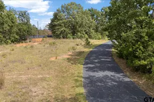 1522 FM 17, Grand Saline, TX 75140 - Photo 38