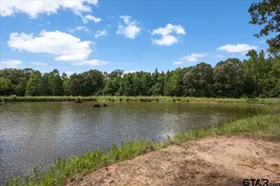 1522 FM 17, Grand Saline, TX 75140 - Photo 42