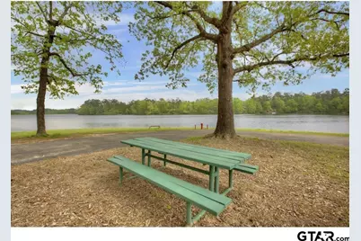 Tbd Cr 4556, Winnsboro, TX 75494 - Photo 8