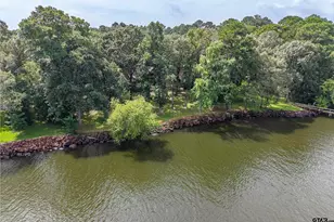 20862 Bay Shore Dr, Flint, TX 75762 - Photo 10