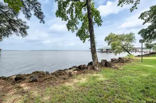20862 Bay Shore Dr, Flint, TX 75762 - Photo 12