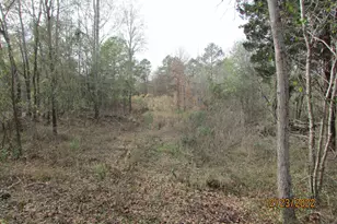 6110 FM314, LaRue, TX 75770 - Photo 1