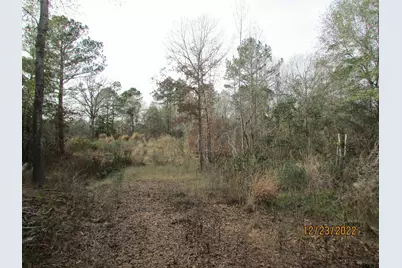 6110 Fm 314, LaRue, TX 75770 - Photo 2