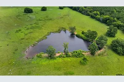 17956 N St Hwy 110 N, Troup, TX 75789 - Photo 6