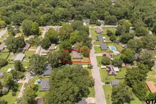 411 Shady Ln, Whitehouse, TX 75791 - Photo 46