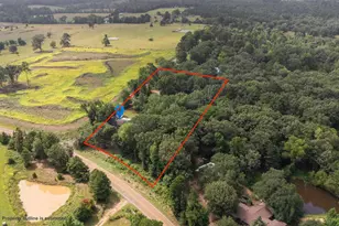 2360 Elk Rd, Gilmer, TX 75644 - Photo 38