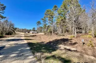 Lot 10 Cr 3545, Hawkins, TX 75765 - Photo 1